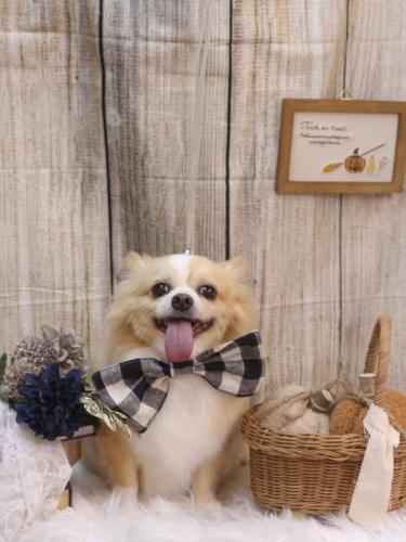 20241010マロ太くん